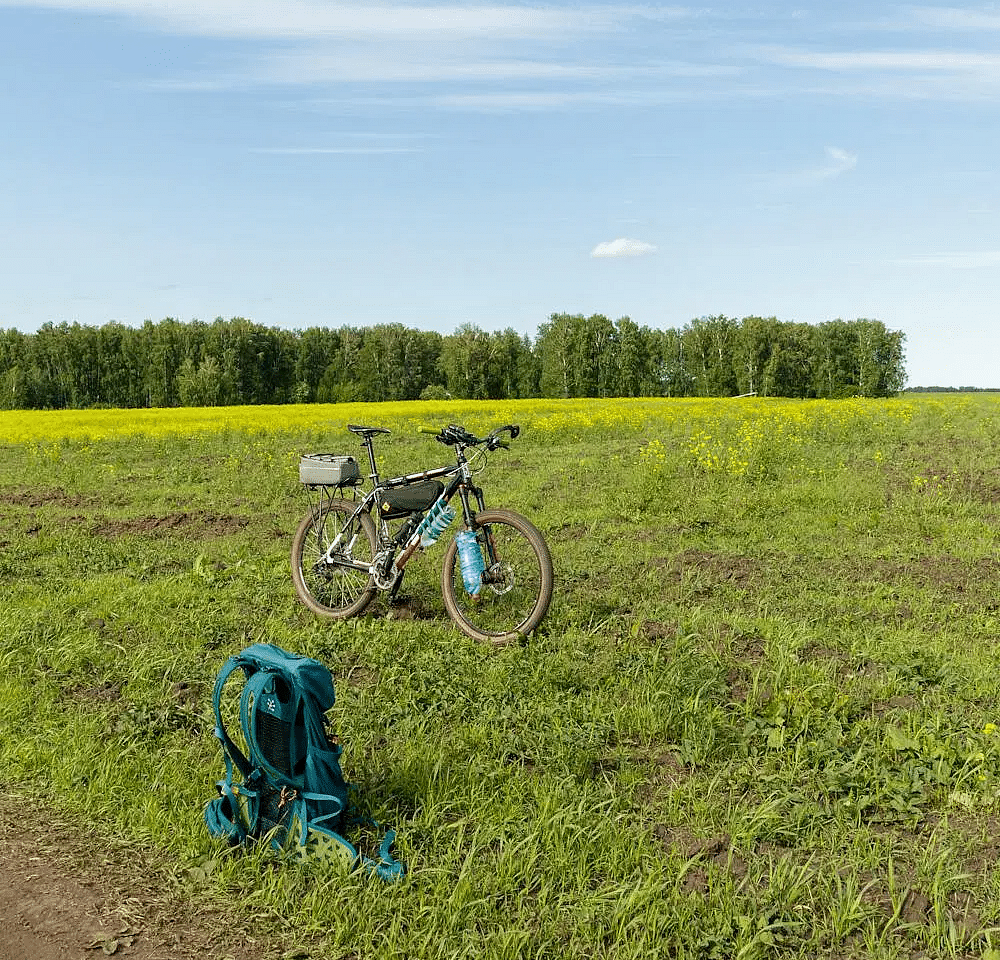 A cycle and a bike kept on a lush green open field.