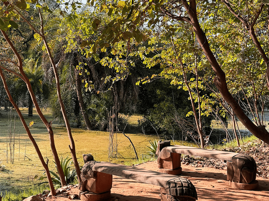Fishing at Surya Bagh, Experiences