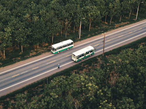 An aerial top-down view of 2 buses driving in opposite directions on a road cutting through a dense forest.