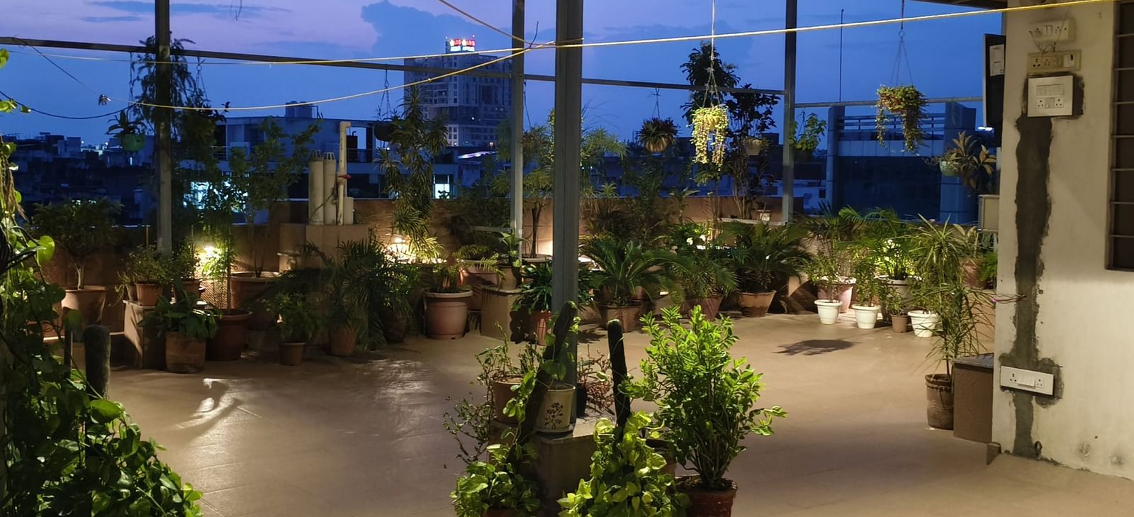 Rooftop space with potted plants, open floor area, and partial structures visible at Jaypore360 Homestay in Jaipur.