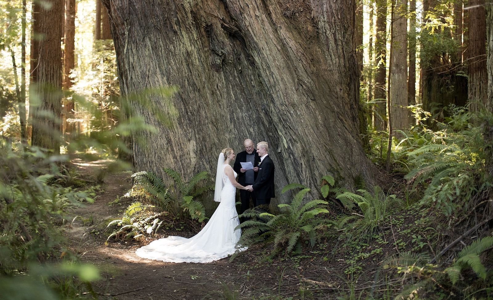 Couple getting married in a lush forest, bathed in sunlight