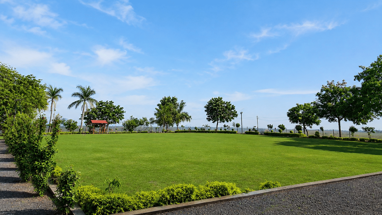 Wedding lawn