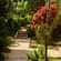 Young Island Resorts - Coorg Coorg Young Island Resorts Coorg 1