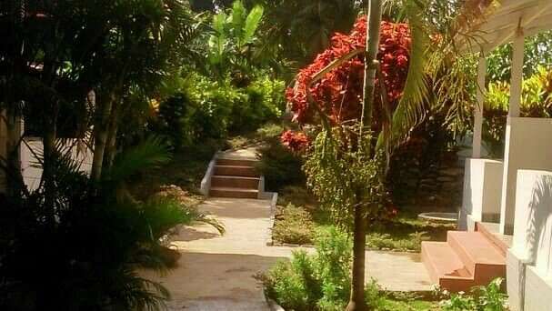 Young Island Resorts - Coorg Coorg Young Island Resorts Coorg 1