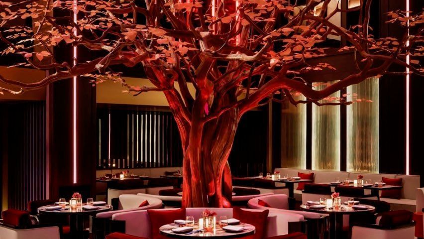 C0F3209B-3728-4DD4-91C0-D8B3C8F1EF5C