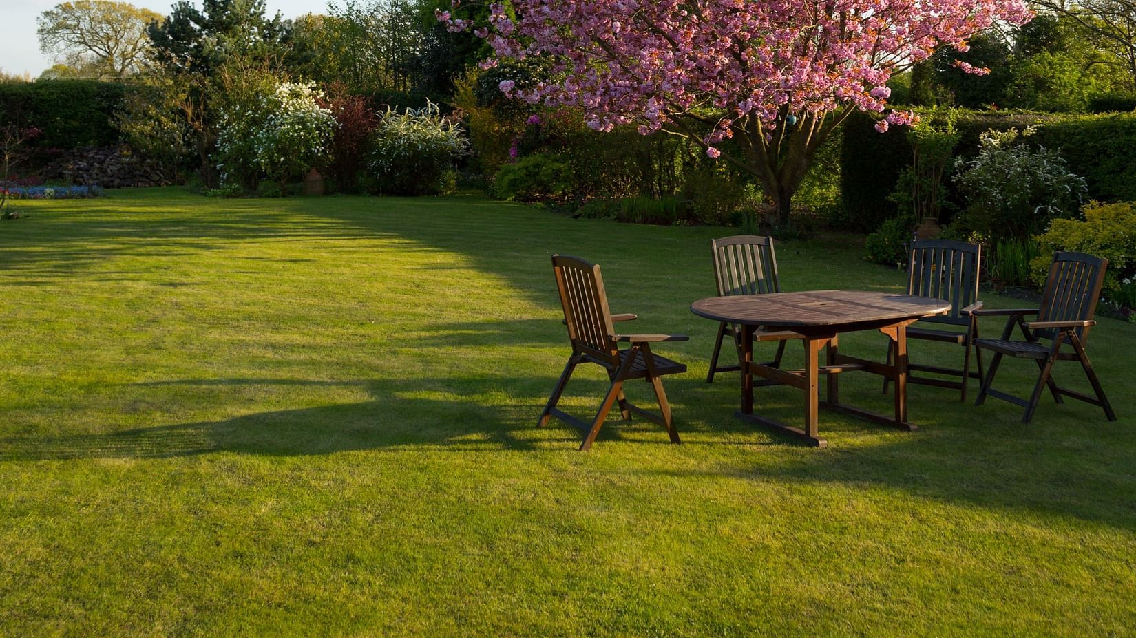 Image of a garden with beautiful cherry blossm tree and chairs
