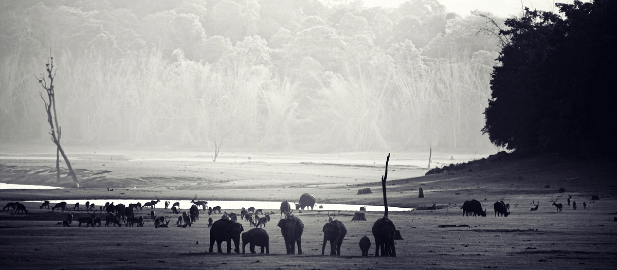 1Kabini VinothChandar