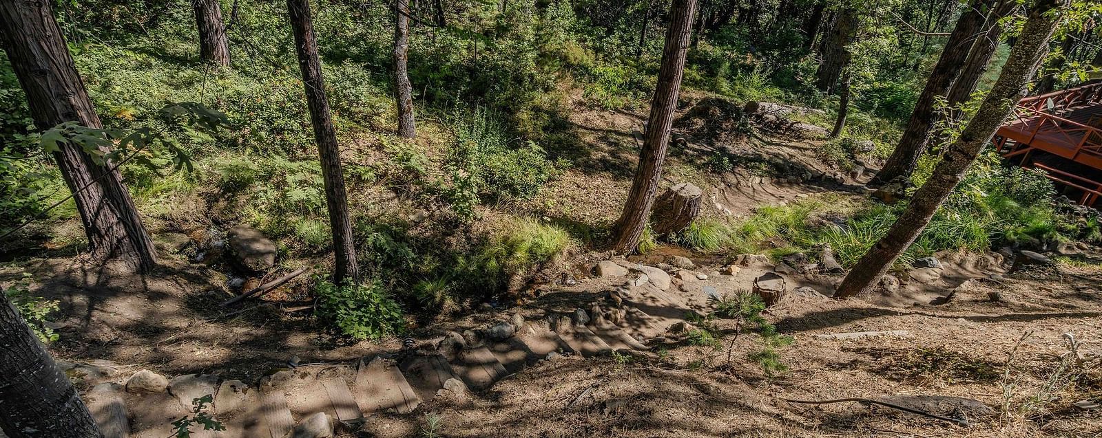 Sub-aerial view of a trail in the forests - Narrow Gauge Inn - A Serenite Hotel Near Fish Camp.