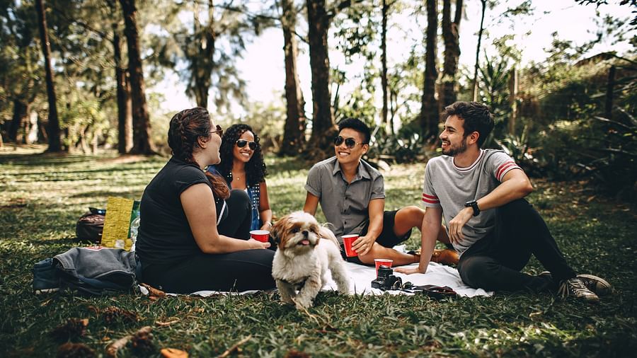 Family on picnic