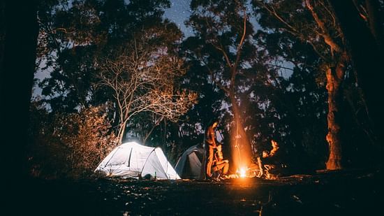 A camp site in the forest with a star-filled sky in the background