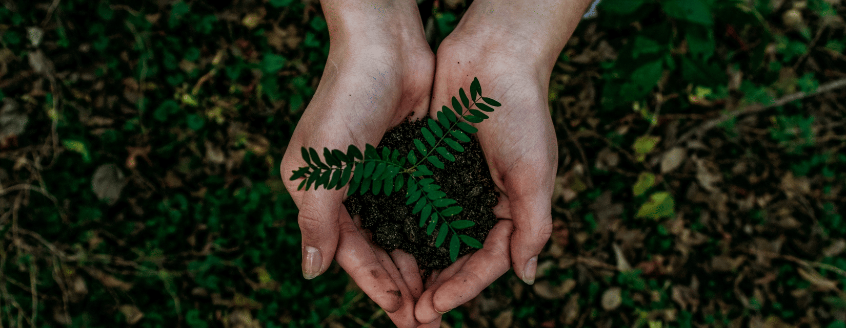 noah-buscher-1162202-unsplash