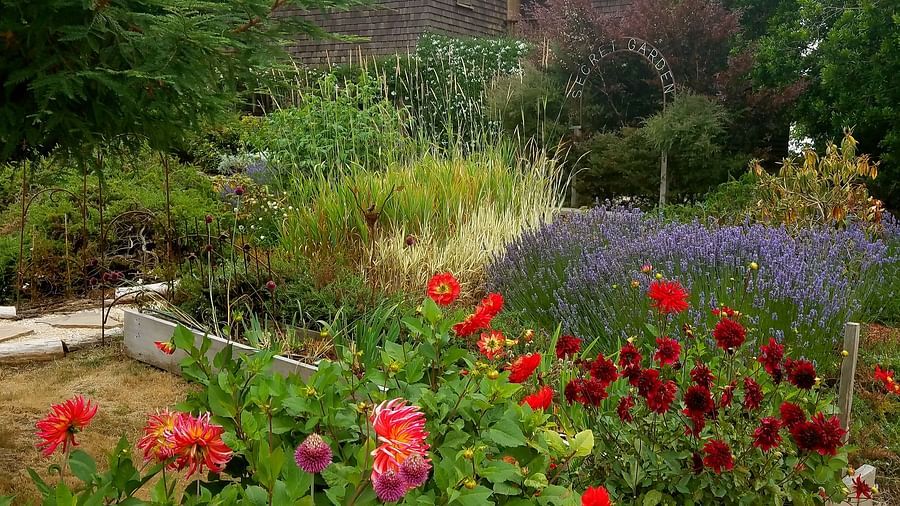 A vibrant garden with red roses and lavenders - Brewery Gulch Inn & Spa