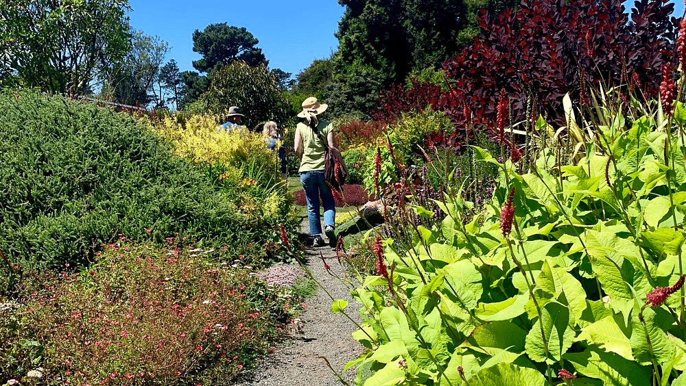 Scenic garden pathway with lush greenery, blooming flowers, and a serene walking trail