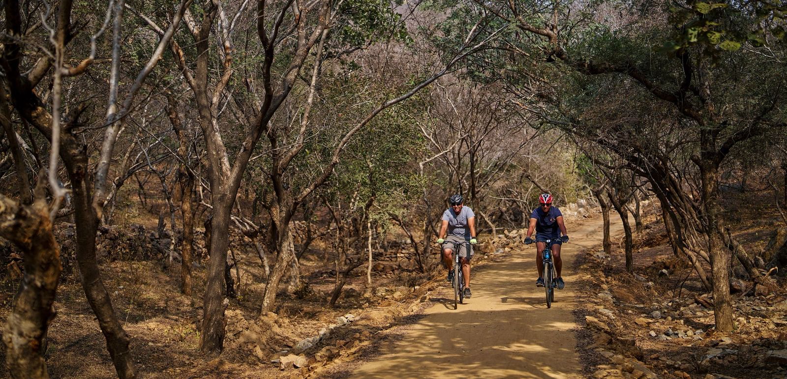 image of two people cycling through a dry forest at dev shree, deogarh