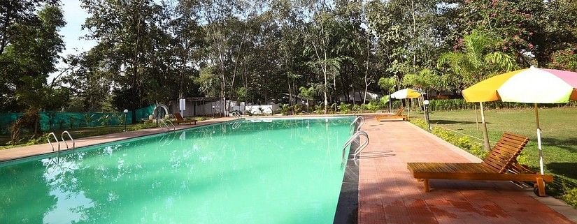 Swimming Pool - Sajan 2-Inviting pool at Nature Trails Sajan, surrounded by lush greenery.