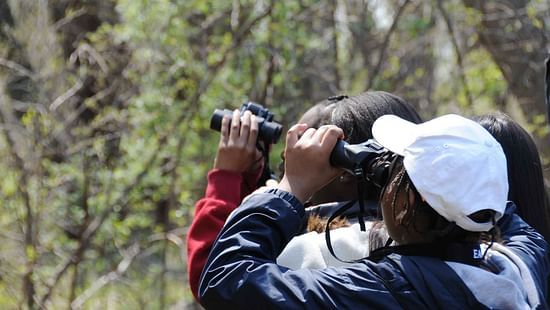 Ojaswi Resort, Chaukori Chaukori Bird Watching Activities at Ojaswi Resort Chaukori