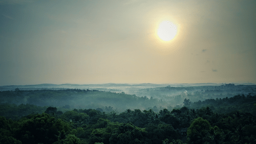 A lush landscape of forests on mountains as a thin layer of fog covers the view in a distance on a sunny day