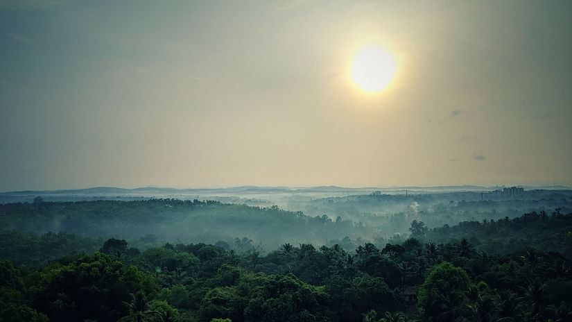 A lush landscape of forests on mountains as a thin layer of fog covers the view in a distance on a sunny day
