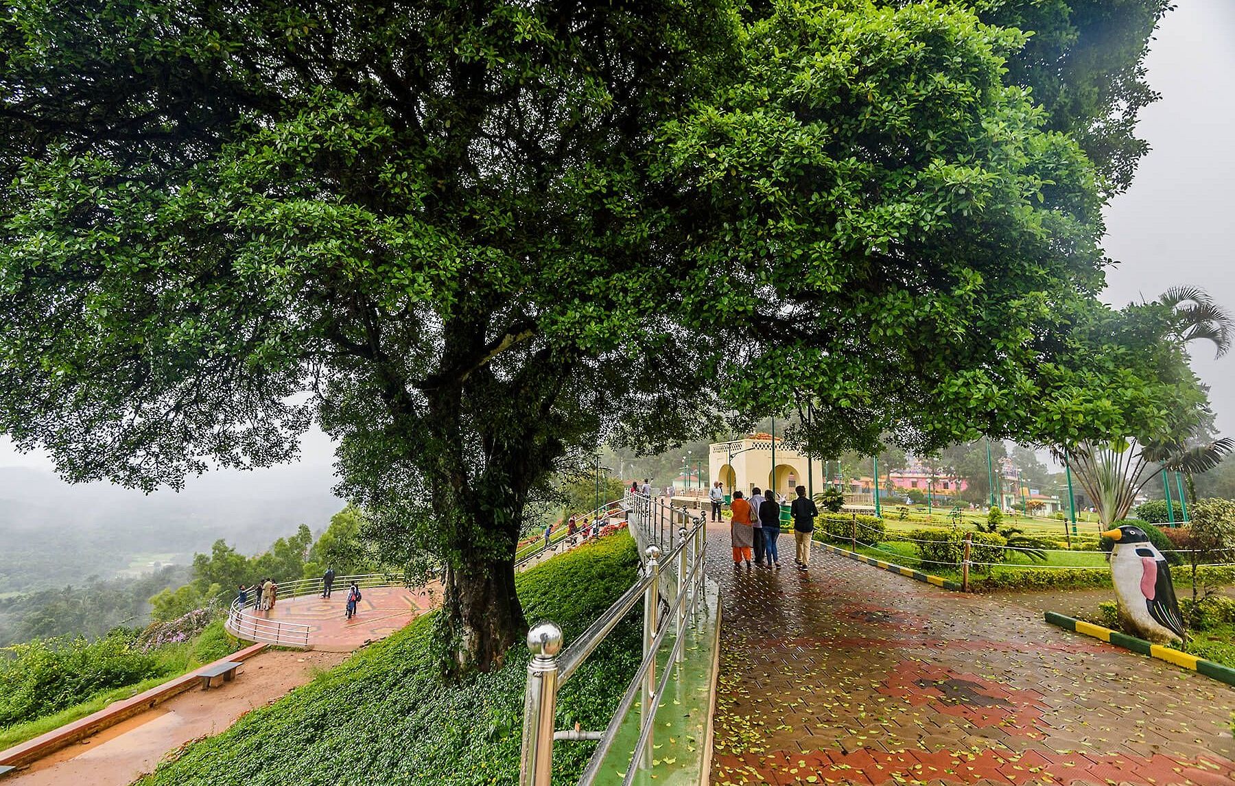 Orange-County-Article-A-Photographers-Guide-to-Coorg-by-Prathap-Photography-001 a