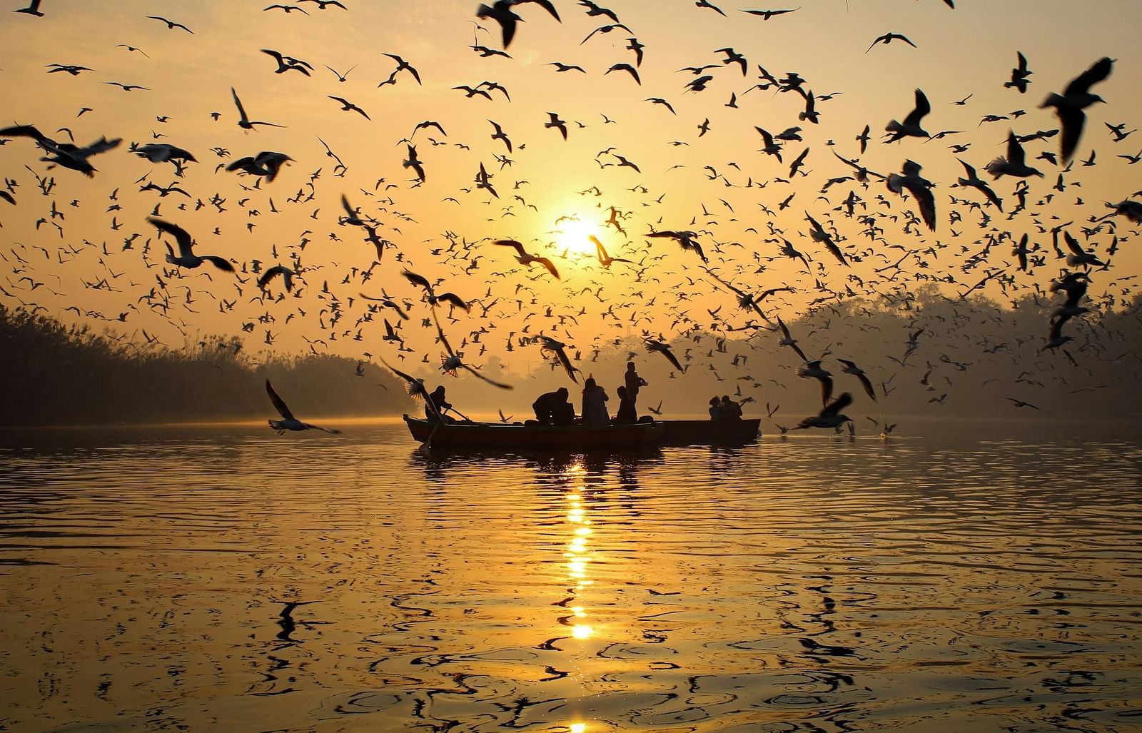 An image of two individuals on a boat surrounded by birds.