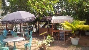 An outdoor cafe scene features turquoise chairs and white tables under a large umbrella, surrounded by lush green foliage and potted plants, with additional seating visible in the background.