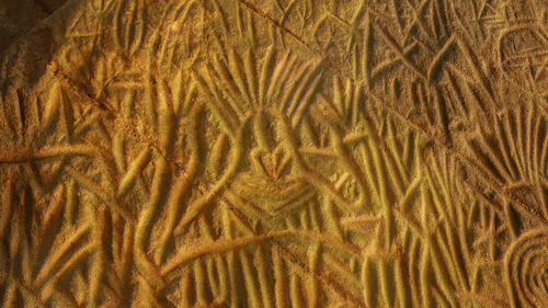 A close up of the petroglyph on the inner walls of the Edakkal Caves in Wayanad.