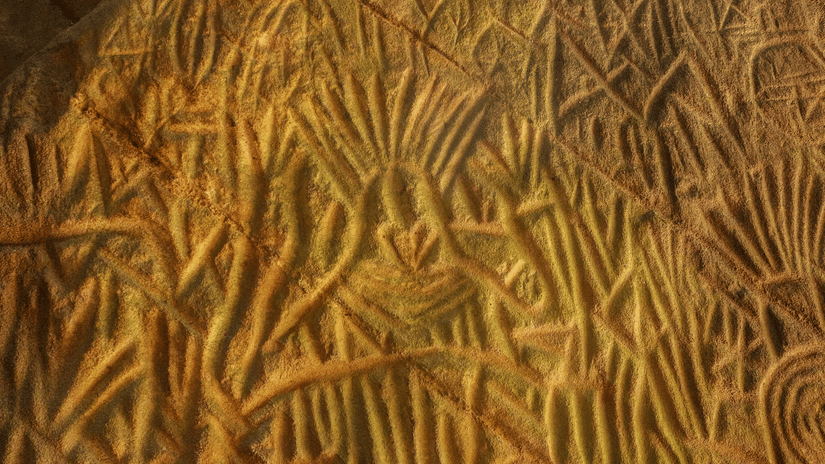A close up of the petroglyph on the inner walls of the Edakkal Caves in Wayanad.