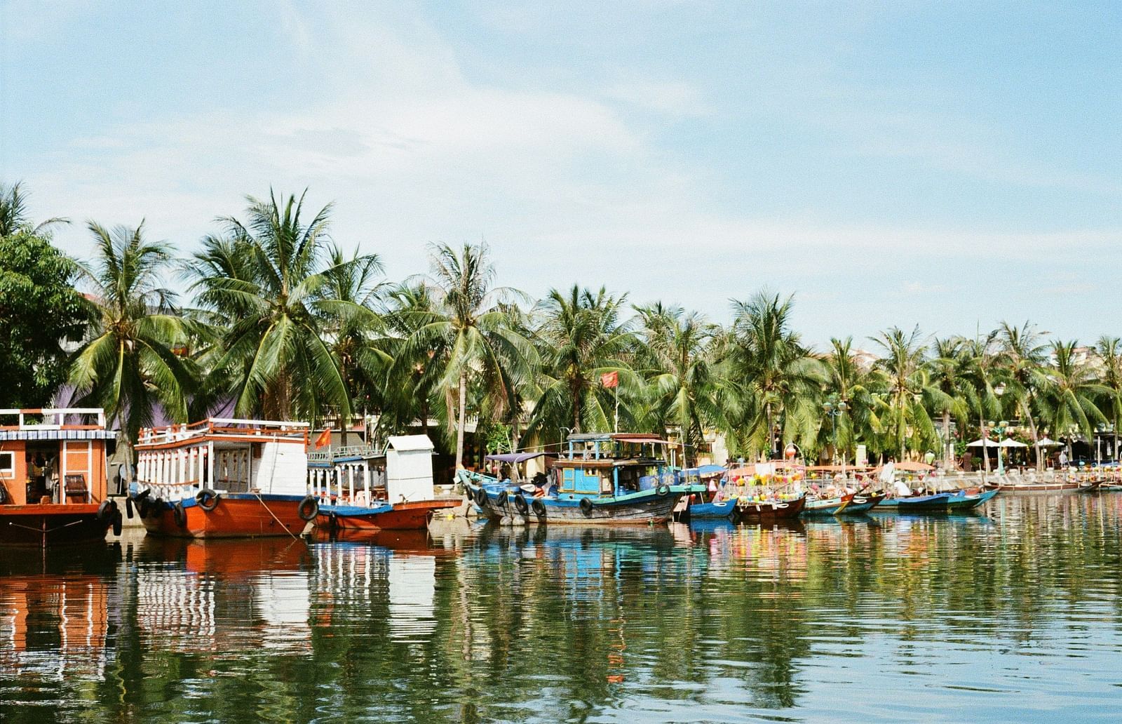 Many boats parked next to the land with coconut trees in view in Hoi An