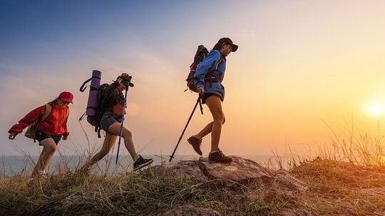 Trekkers with backpacks hiking uphill, using trekking poles, during a glowing sunset casting warm light on the grassy landscape.
