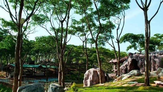 alt-text rd-s-nature-retreat