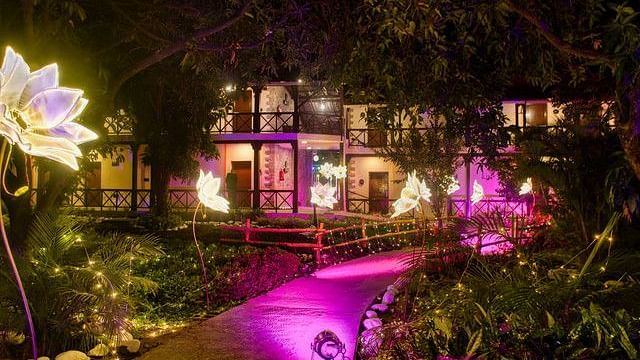 alt-text Serene pathway through a lush green garden at night.