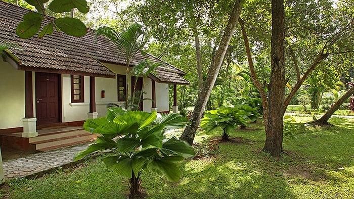 abad-turtle-cottage-inside-garden, Contact Beach Resort in Marari, Beach resorts in Allepey, 4 Star Resorts in Alleppey, Best Beach Resorts in Alleppey, Best Beach Resorts Near Cochin, Beach Resorts in Kerala