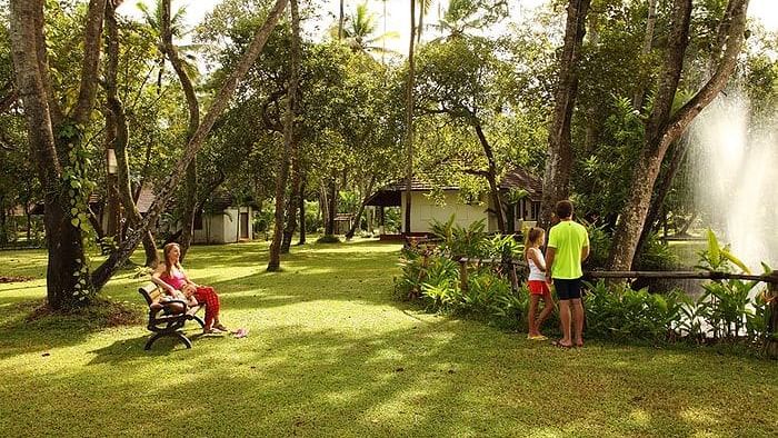 abad-turtle-greenery-garden