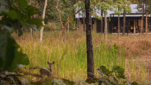 WhatsApp Image 2018-01-16 at 19.35.07