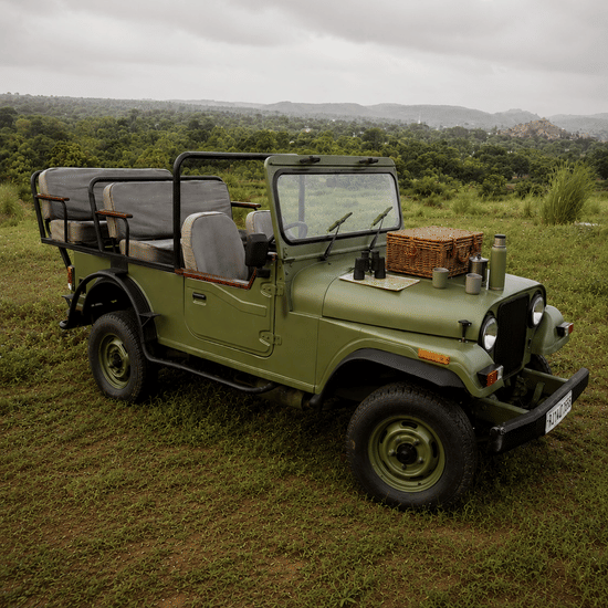 Picnic and Countryside Jeep Safaris-Surya Bagh Ajabgarh-Excursions