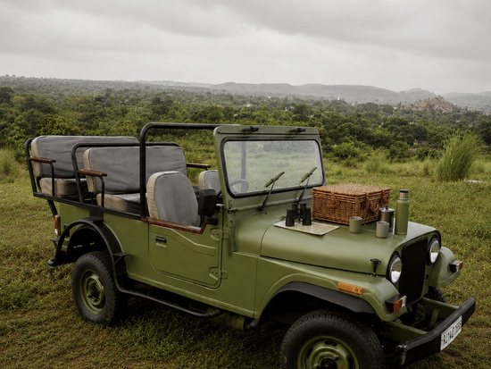 Picnic and Countryside Jeep Safaris-Surya Bagh Ajabgarh-Excursions