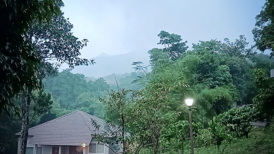 A facade view of the Brookside Cottage with Sit Out, one of the premier Wayanad cottages for a family, is nestled in a forest with trees and mist surrounding it at Abad Brookside Lakkidi, Wayanad.