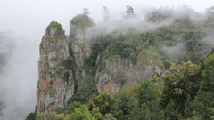 A far out view of Pillar Rocks covered by mist and vegetation.