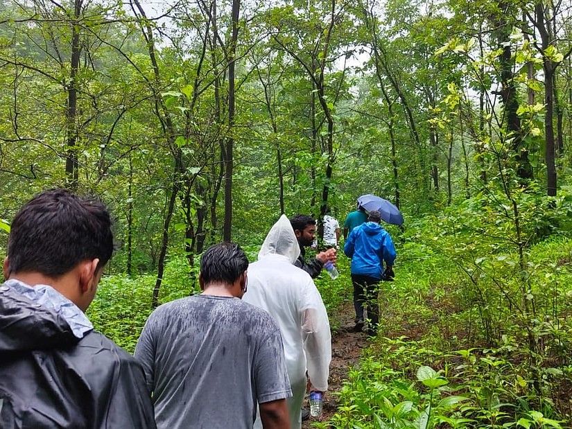 A group of people walking up a hill, with lush green surroundings and tall canopy
