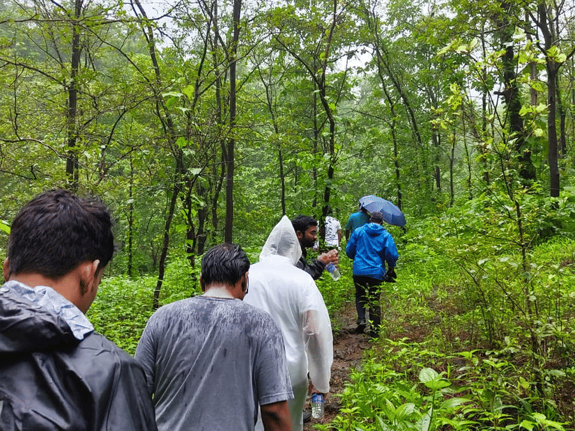 A group of people walking up a hill, with lush green surroundings and tall canopy.