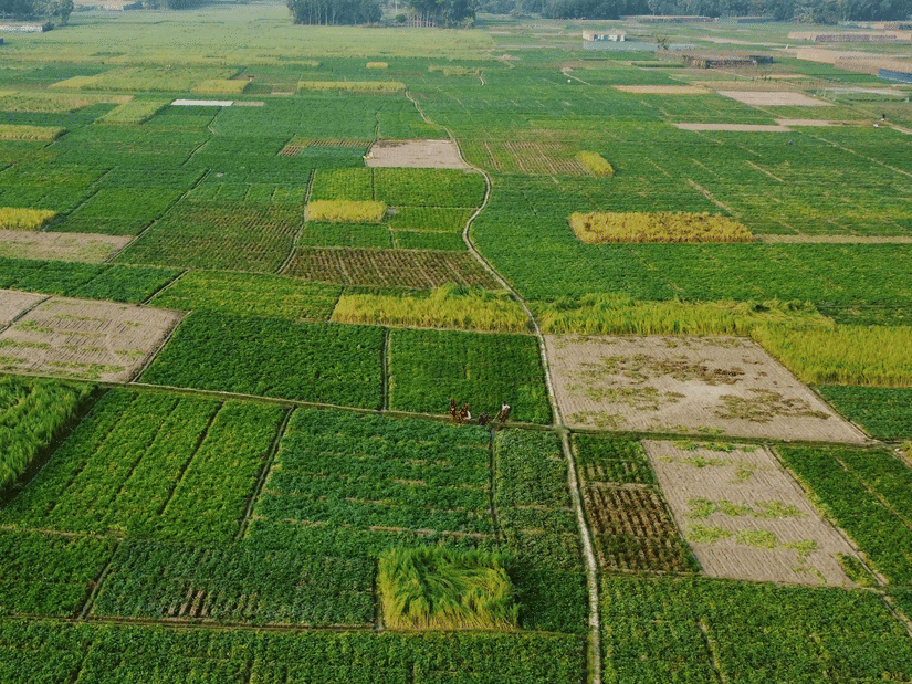 Drone shot of agricultural lands and houses in the surrounding area.