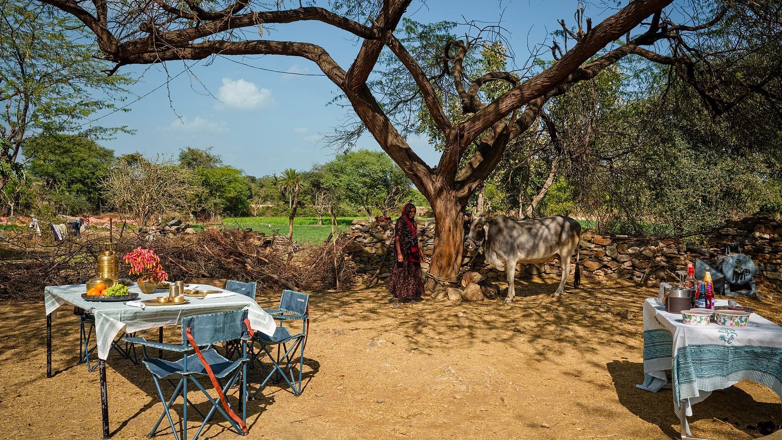 Image of out door farm lunch at Dev Shree, Deogarh featuring well arranged seating areas waith a lot of dishes