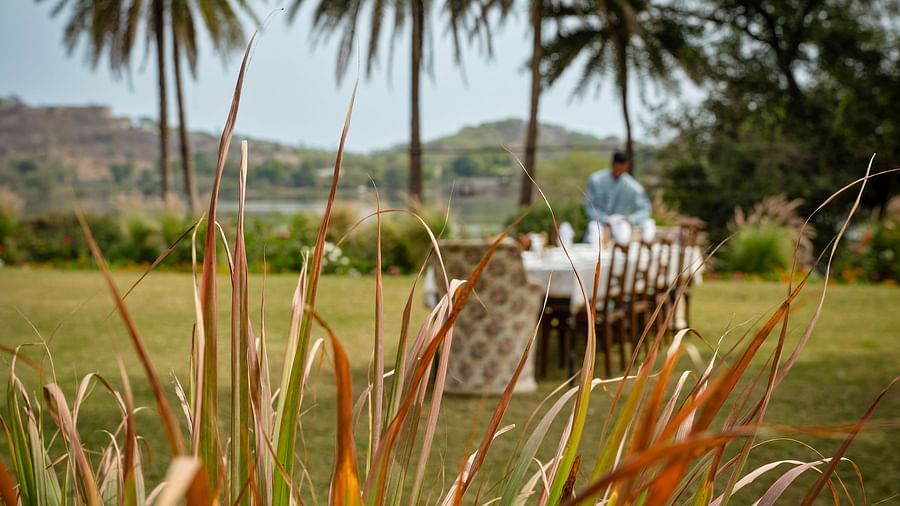 image of the outdoor dining area with tall palm trees in the background at dev shree deogarh