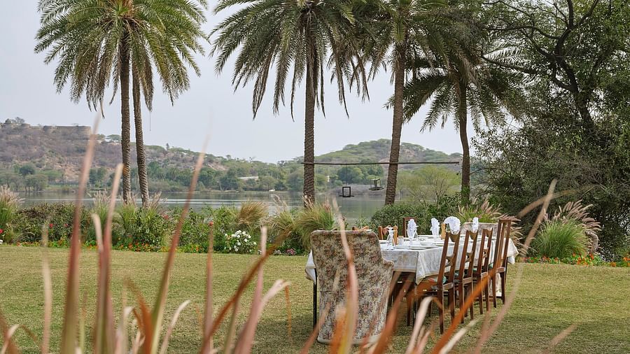 image of the outdoor dining area with tall palm trees in the background at dev shree deogarh