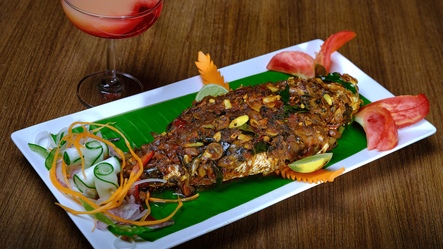 A fish starter served at Essentia Premier Hotel, our hotel near OMR, Chennai