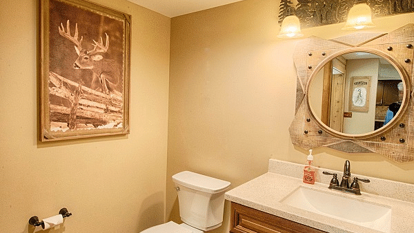 a bathroom featuring a well defined vanity area along with a commode and a beautiful painting - Historic Tapoco Lodge