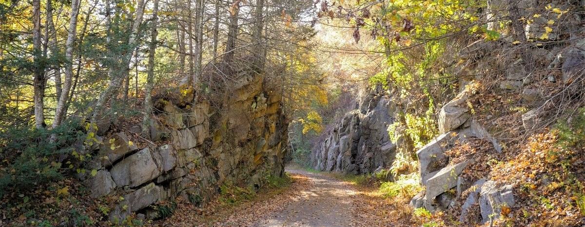 A narrow road winding between small rocky mountains, flanked by tall trees on either side. The scene captures a peaceful, natural setting, inviting exploration.