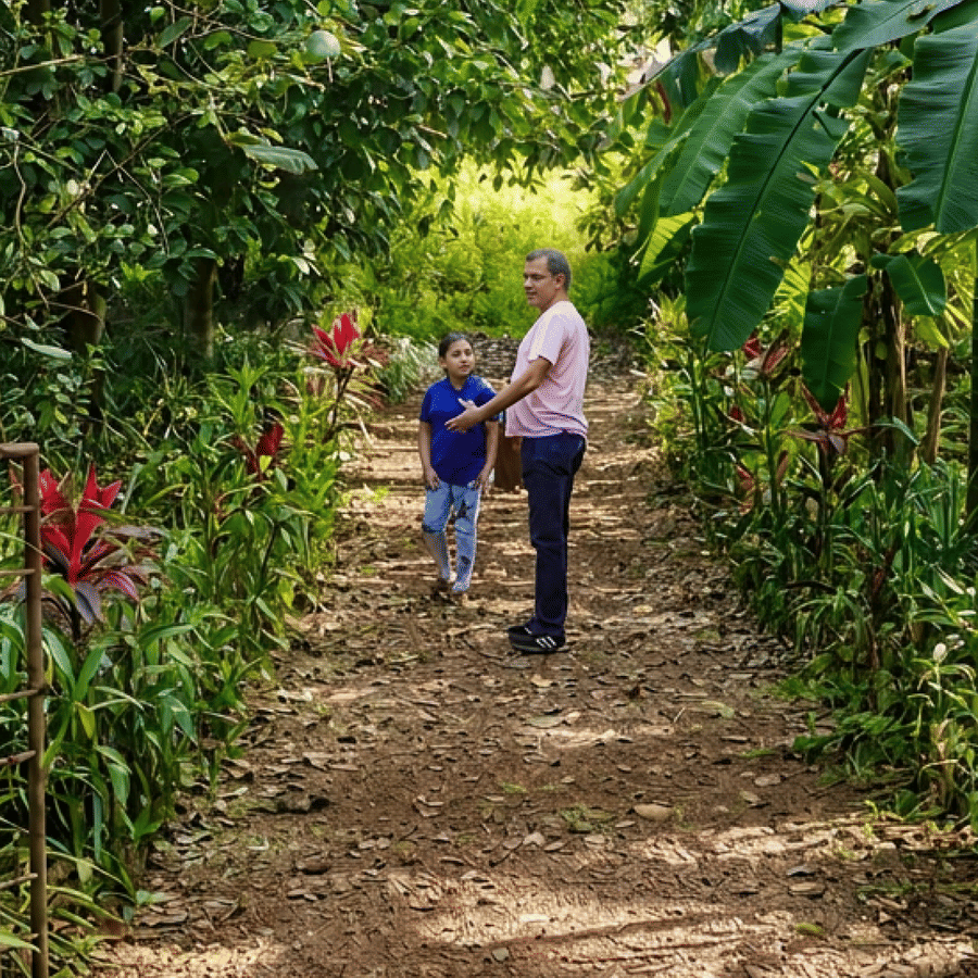 The Walk That Smelled Like Old Recipes