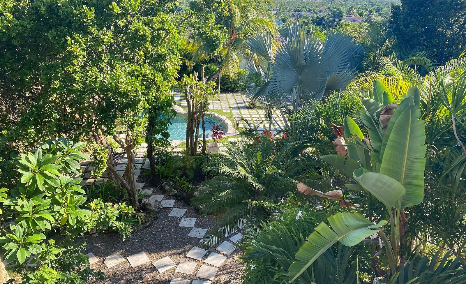 Garden pathway leading to a circular pool hidden among tropical plants | A Stone's Throw Away