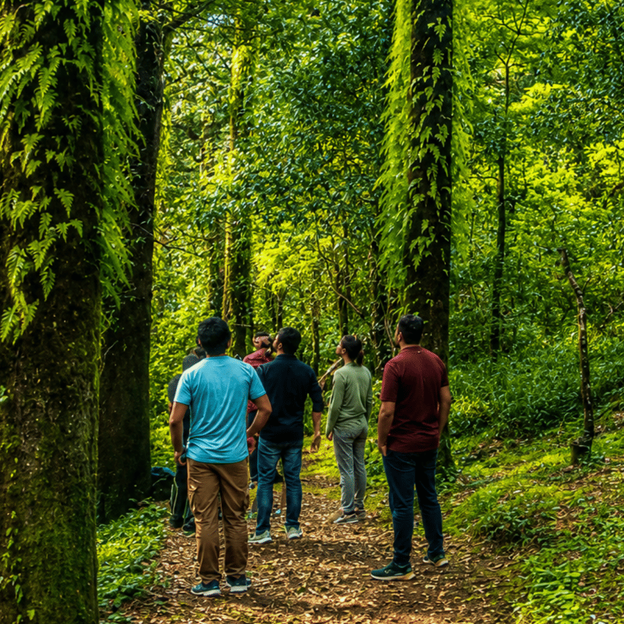 Nature Walk Jungle Walk Ganga Riverside Walk